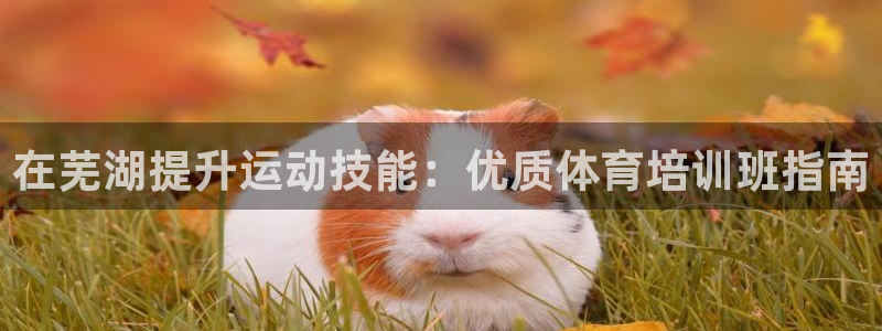 极悦娱乐官网app下载安装：在芜湖提升运动技能：优质
