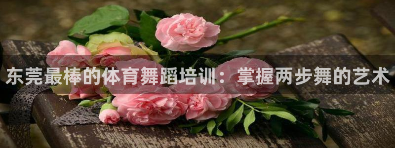 极悦娱乐的背景和历史背景是什么：东莞最棒的体育舞蹈培