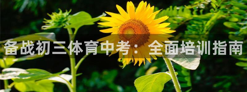 极悦平台代理怎么做：备战初三体育中考：全面培训指南