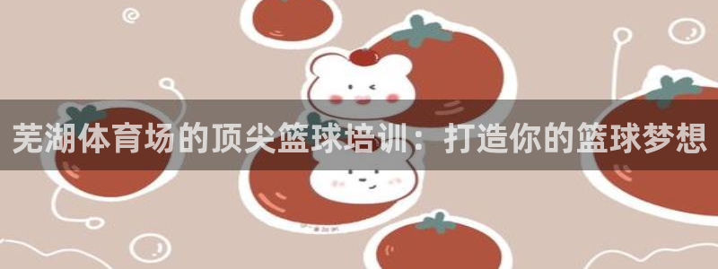 极悦平台注册登录入口在哪：芜湖体育场的顶尖篮球培训：