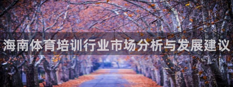 极悦平台官网下载中心：海南体育培训行业市场分析与发展