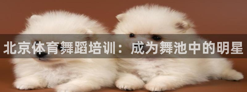 极悦平台集7O777：北京体育舞蹈培训：成为舞池中的