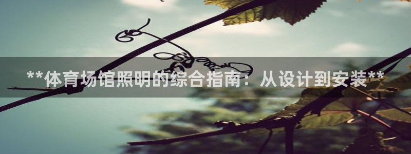 极悦平台官方网站首页下载：**体育场馆照明的综合指南