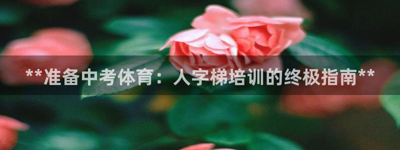 极悦娱乐app官方版本更新内容下载：**准备中考体育