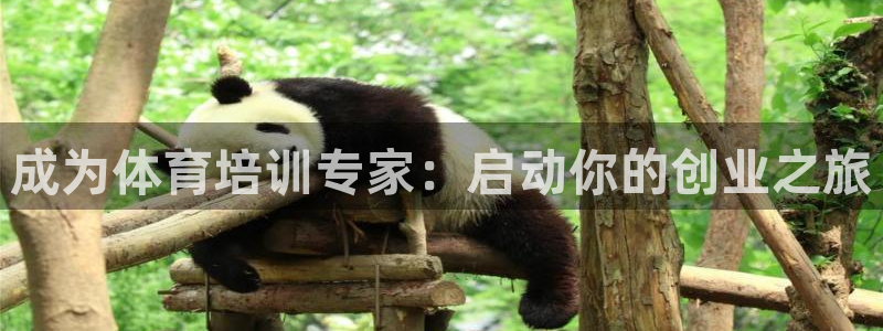 极悦平台登录方式有哪些：成为体育培训专家：启动你的创
