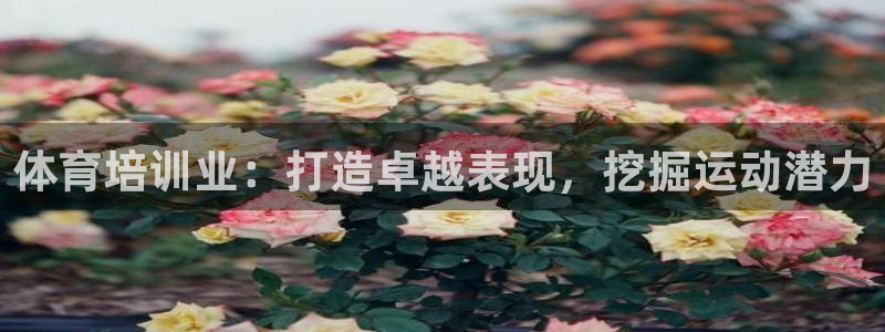 极悦官网入口登录：体育培训业：打造卓越表现，挖掘运动
