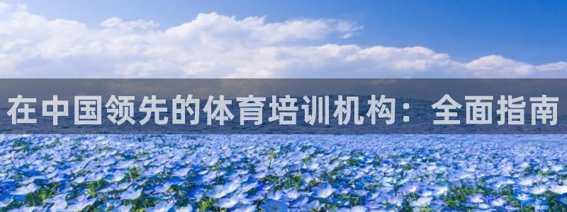 极悦平台代理怎么做赚钱：在中国领先的体育培训机构：全