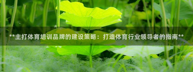 极悦平台注册申请流程详解视频：**主打体育培训品牌的