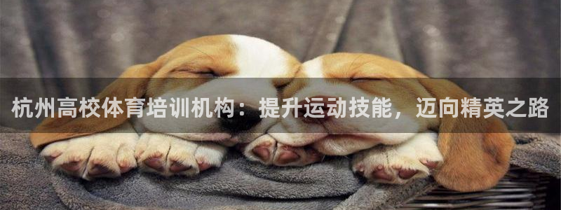 极悦官网的登录方法是什么：杭州高校体育培训机构：提升