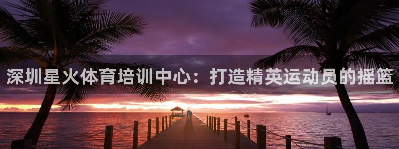 极悦平台官网登录入口网址是什么：深圳星火体育培训中心