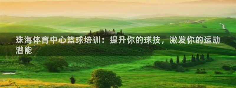 极悦平台用户评价与反馈在哪里：珠海体育中心篮球培训：