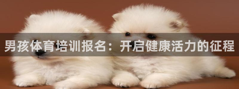 极悦娱乐代理怎么样啊：男孩体育培训报名：开启健康活力