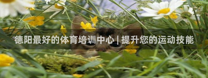 极悦娱乐官网最新版本更新内容视频：德阳最好的体育培训