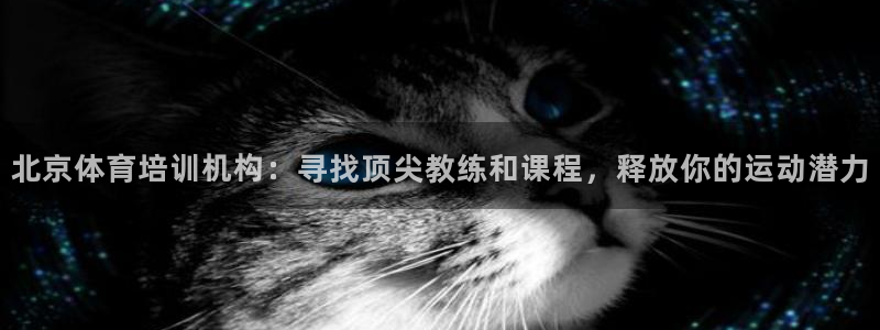 极悦平台是干嘛的公司：北京体育培训机构：寻找顶尖教练