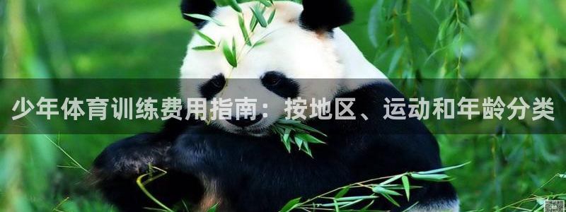 加盟极悦教育：少年体育训练费用指南：按地区、运动和年
