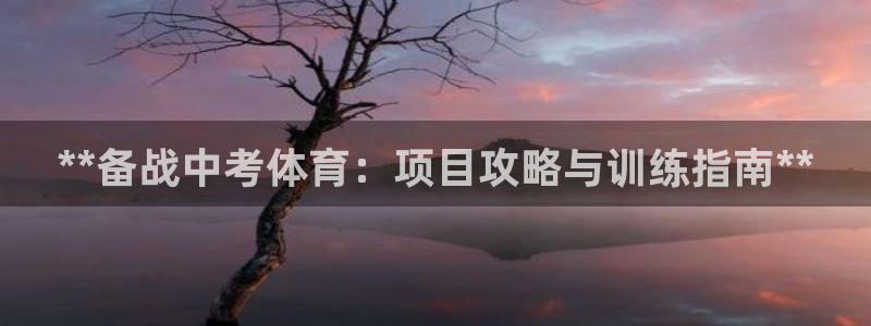 极悦官方网站入口网址