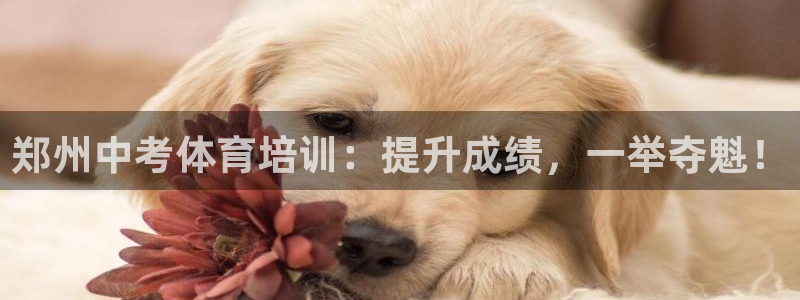极悦平台注册登录失败：郑州中考体育培训：提升成绩，一