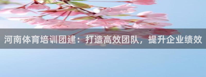极悦平台登录不进去怎么回事呢：河南体育培训团建：打造