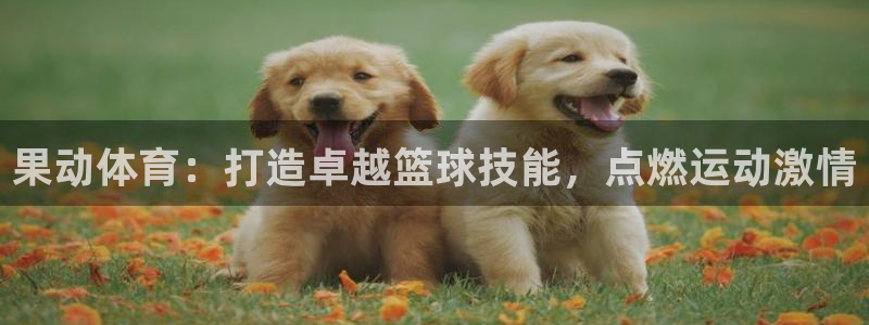 极悦娱乐德711.112扣费说明：果动体育：打造卓越