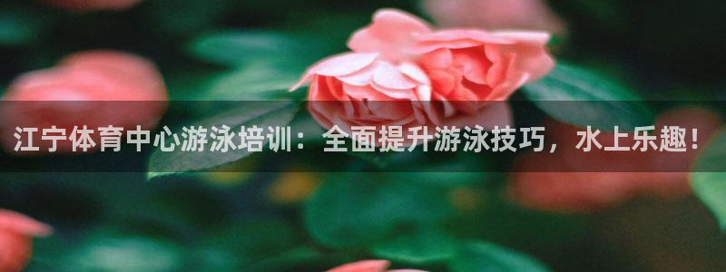 极悦娱乐代理怎么样：江宁体育中心游泳培训：全面提升游