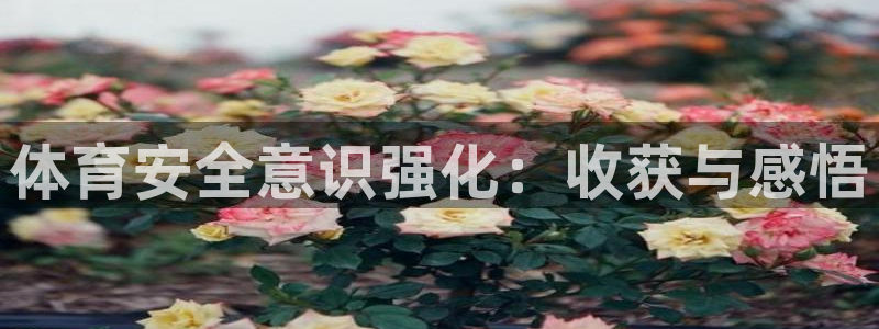 极悦平台官网登录入口网址是什么：体育安全意识强化：收