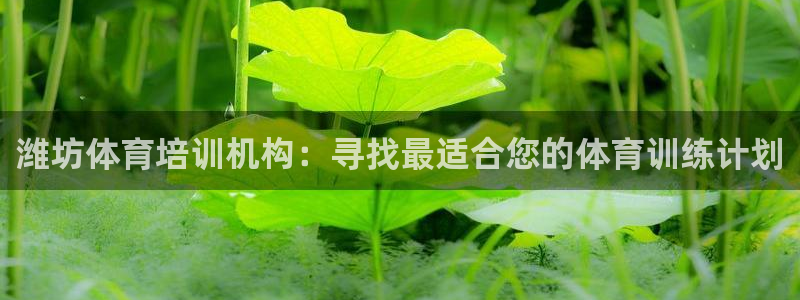 极悦平台注册资金多少：潍坊体育培训机构：寻找最适合您