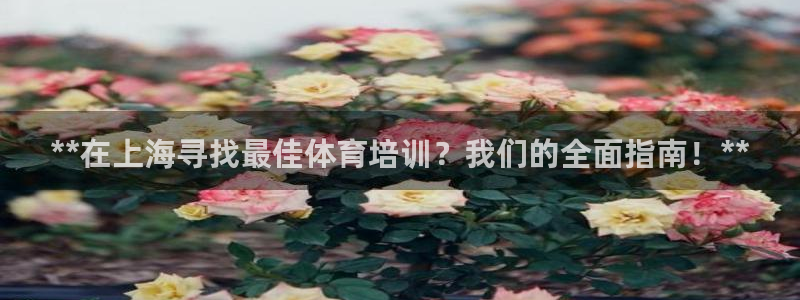 极悦平台官网下载中心：**在上海寻找最佳体育培训？我