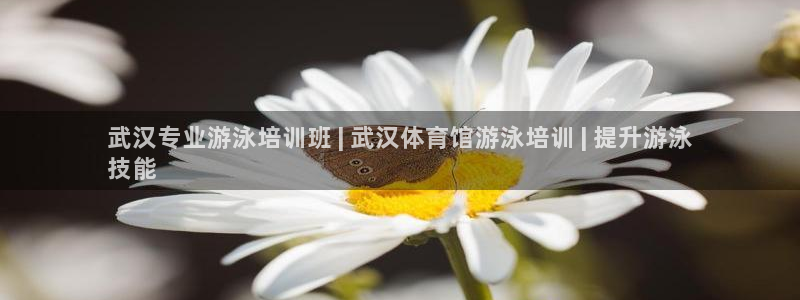 极悦平台发7O777：武汉专业游泳培训班 | 武汉体