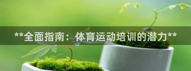 极悦平台城7O777：**全面指南：体育运动培训的潜