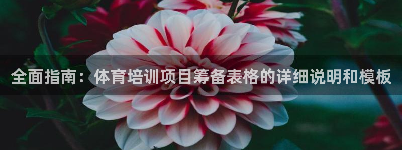 极悦平台官网入口网站：全面指南：体育培训项目筹备表格