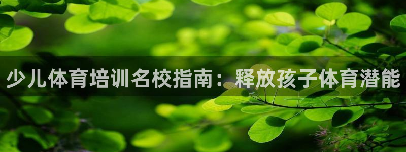 极悦娱乐负责人是谁：少儿体育培训名校指南：释放孩子体