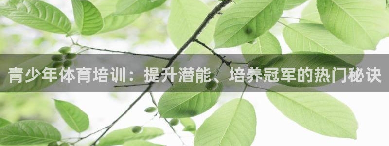 极悦官方网站入口网址：青少年体育培训：提升潜能、培养
