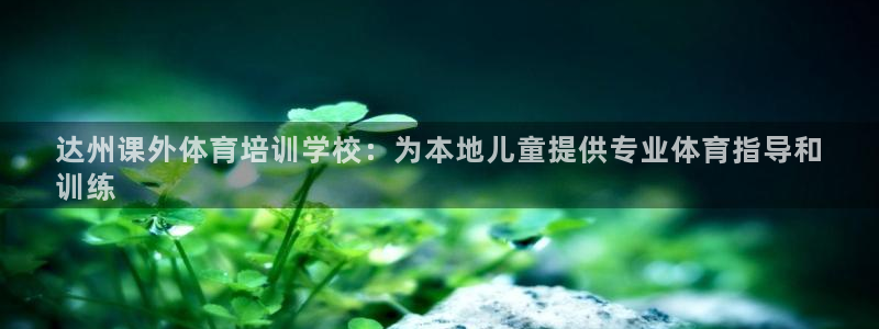 极悦平台是干嘛的公司：达州课外体育培训学校：为本地儿