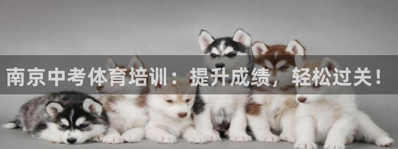 极悦平台注册官网下载：南京中考体育培训：提升成绩，轻
