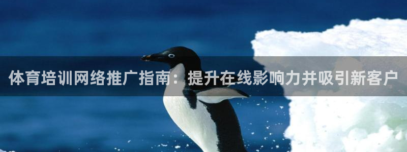极悦平台官方网站入口链接手机：体育培训网络推广指南：