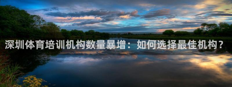 极悦官网首页：深圳体育培训机构数量暴增：如何选择最佳