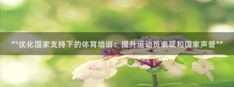 极悦平台注册登录入口官网：**优化国家支持下的体育培
