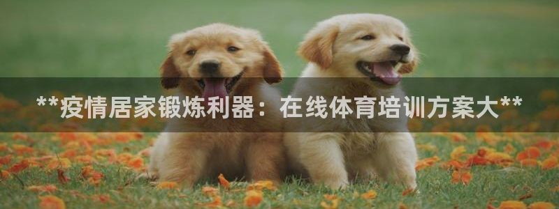 极悦娱乐创始人背景故事是什么：**疫情居家锻炼利器：