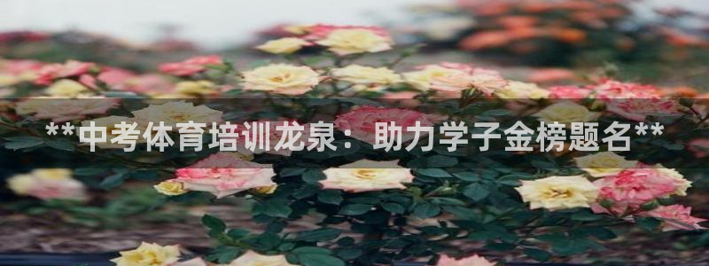 极悦平台创始人背景故事：**中考体育培训龙泉：助力学