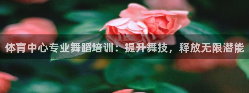 极悦平台官网入口网站：体育中心专业舞蹈培训：提升舞技