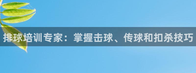 极悦娱乐贴吧百度：排球培训专家：掌握击球、传球和扣杀
