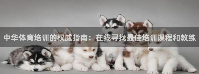极悦平台使用注意事项有哪些：中华体育培训的权威指南：