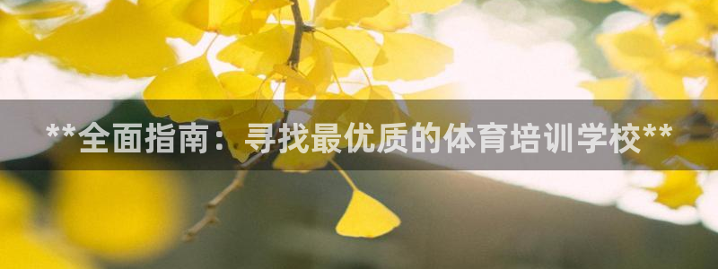 极悦官网的登录方法：**全面指南：寻找最优质的体育培