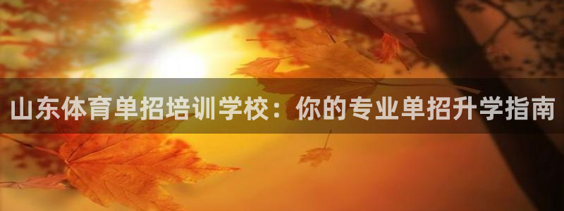 极悦平台注册登录不上：山东体育单招培训学校：你的专业