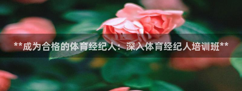 极悦官方网站入口：**成为合格的体育经纪人：深入体育