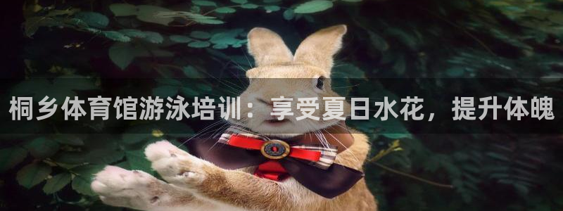 极悦平台代理电话：桐乡体育馆游泳培训：享受夏日水花，