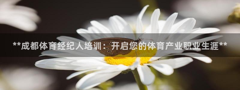 极悦平台股东：**成都体育经纪人培训：开启您的体育产业职业生