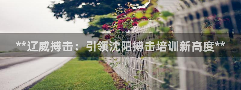 极悦平台客服的联系方式是什么：**辽威搏击：引领沈阳