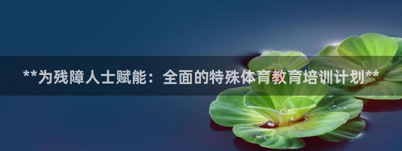 极悦娱乐负责人是谁：**为残障人士赋能：全面的特殊体