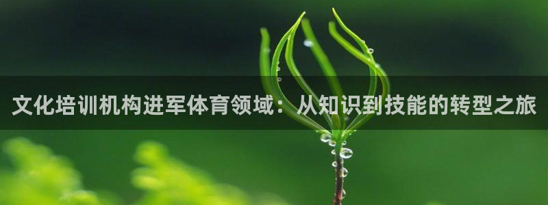 极悦平台安全吗可靠吗：文化培训机构进军体育领域：从知